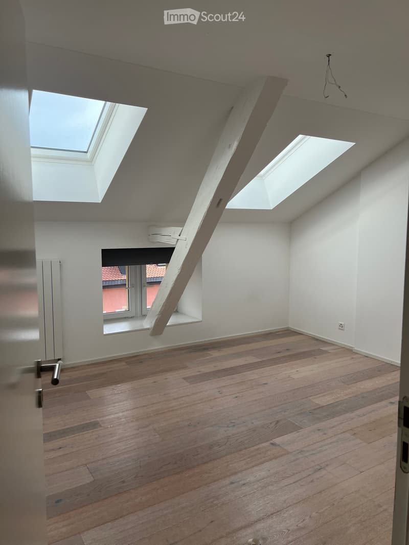 Empty attic room with wooden flooring, white walls, skylights, and a window overlooking a red-roofed building.