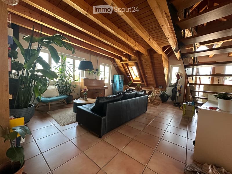 Charmante 4.5-Zimmer-Dachwohnung in Adliswil (1)