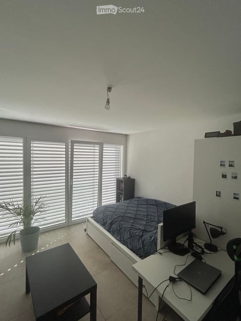 Modern bedroom with a bed, desk, laptop, chair, plant, and bookshelf. Large windows with blinds provide natural light.