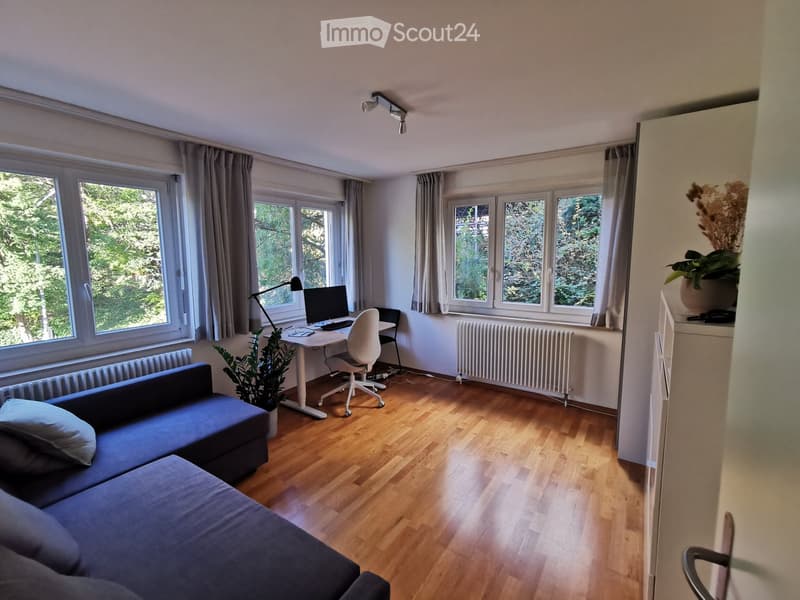 A modern, well-lit living room with wooden flooring, large windows, a sofa, desk, chair, and decorative plants.