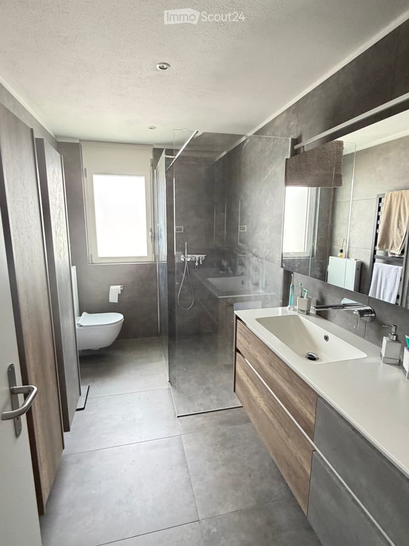 Modern bathroom with a large sink, mirror, toilet, and a glass-enclosed shower. The space features grey tiles and a wooden vanity.