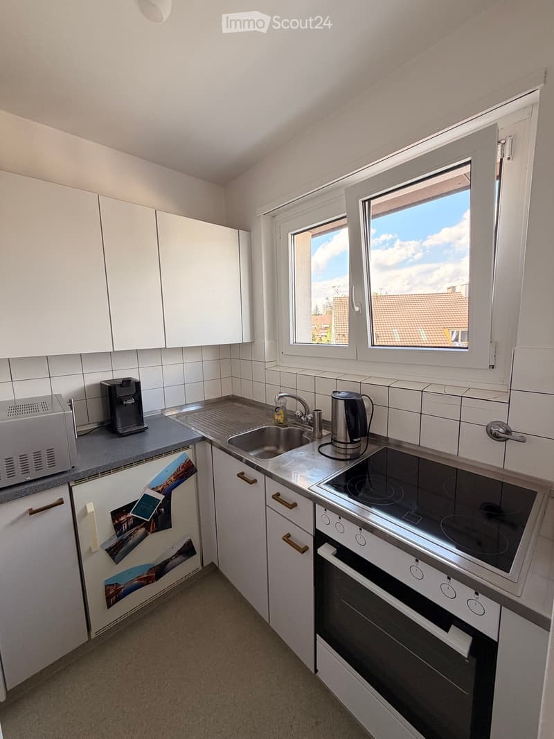 Modern kitchen with white cabinets, stainless steel appliances, and a window overlooking a tiled roof.