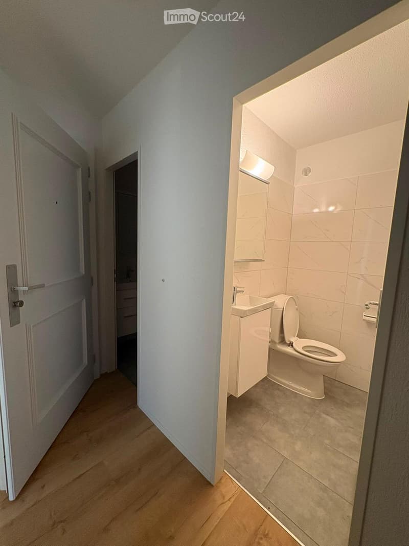 A narrow hallway with wooden flooring leads to a small, modern bathroom featuring a toilet, sink, and built-in storage. The bathroom has white tiled walls and a sleek design.
