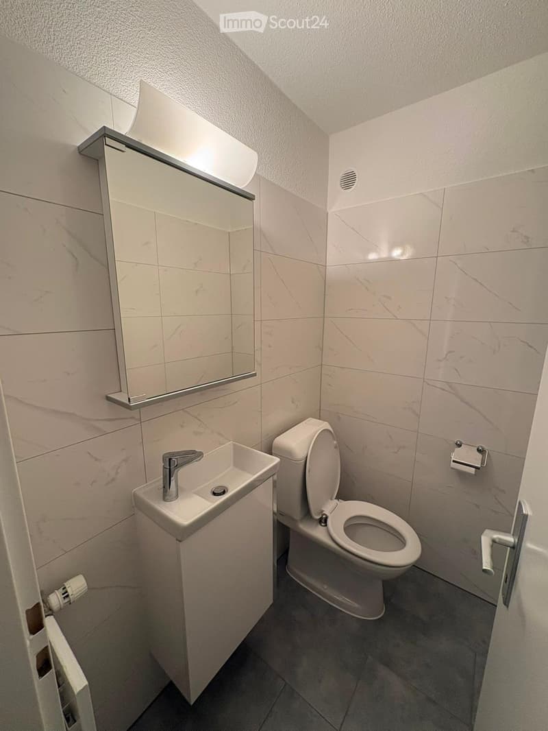 Modern bathroom with white marble tiles, a toilet, a sink with a chrome faucet, a mirror, and a toilet paper holder.