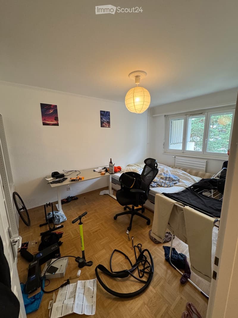 Appartement lumineux de 4 pièces à Champel, Genève (4)