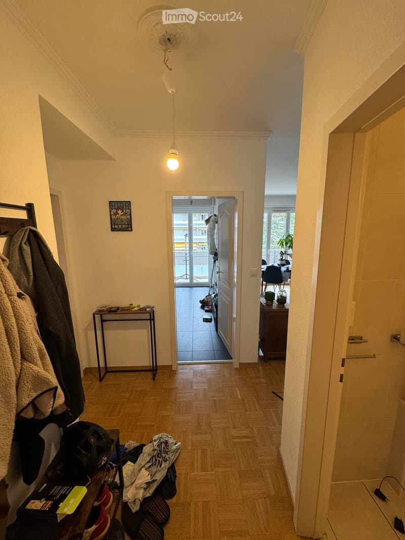 Appartement lumineux de 4 pièces à Champel, Genève (2)
