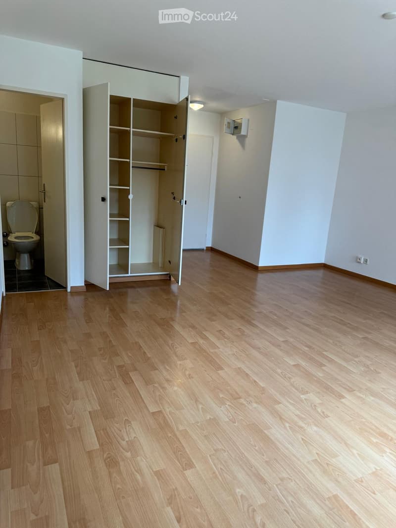 Empty room with wooden flooring, white walls, and an open closet with empty shelves. A bathroom is visible to the left with a toilet and a dark-tiled floor.