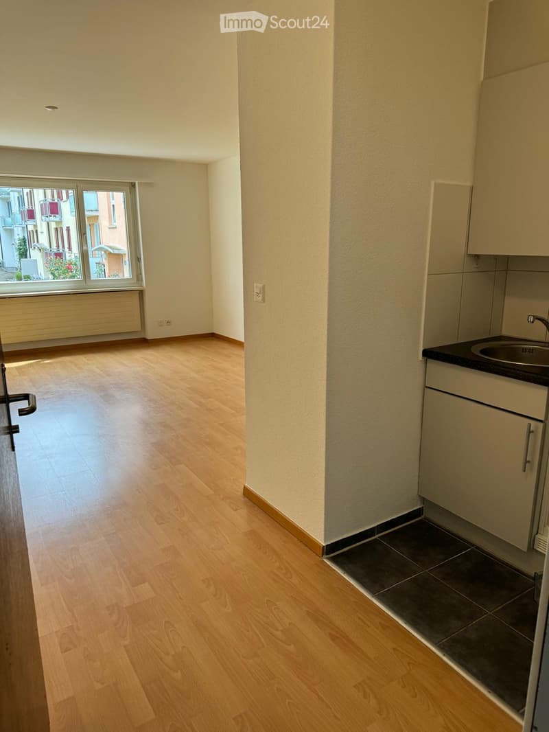 Empty room with light wooden flooring, white walls, and a small kitchen area featuring a sink and cabinets. A large window offers a view of the street.
