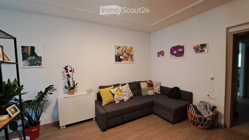 A modern living room with a grey sectional sofa adorned with colorful pillows, a small white side table with a potted orchid, a large mirror, and several picture frames on the walls. The room features wooden flooring and a wicker basket with folded clothe