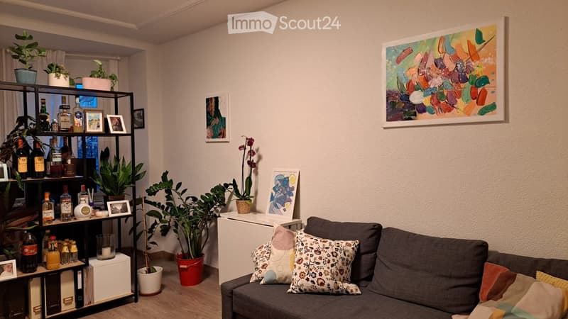 A cozy living room with a grey sofa adorned with colorful pillows, a black shelving unit holding bottles and potted plants, and several framed artworks on the walls.