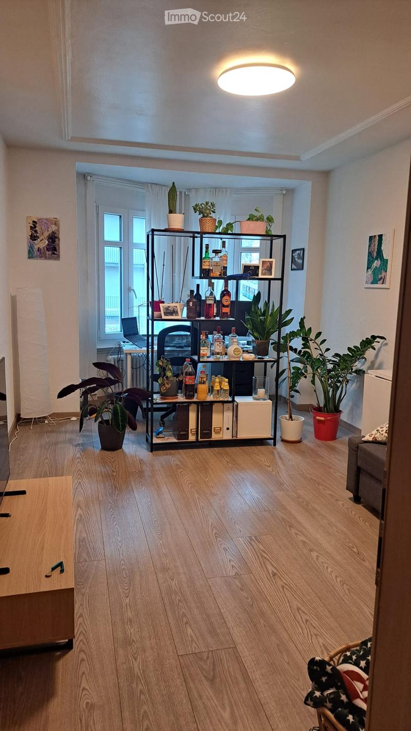 A modern living room with wooden flooring, a large shelf filled with bottles and plants, a sofa, and a small table with a laptop. The room has large windows with white curtains and is decorated with several potted plants and artwork on the walls.