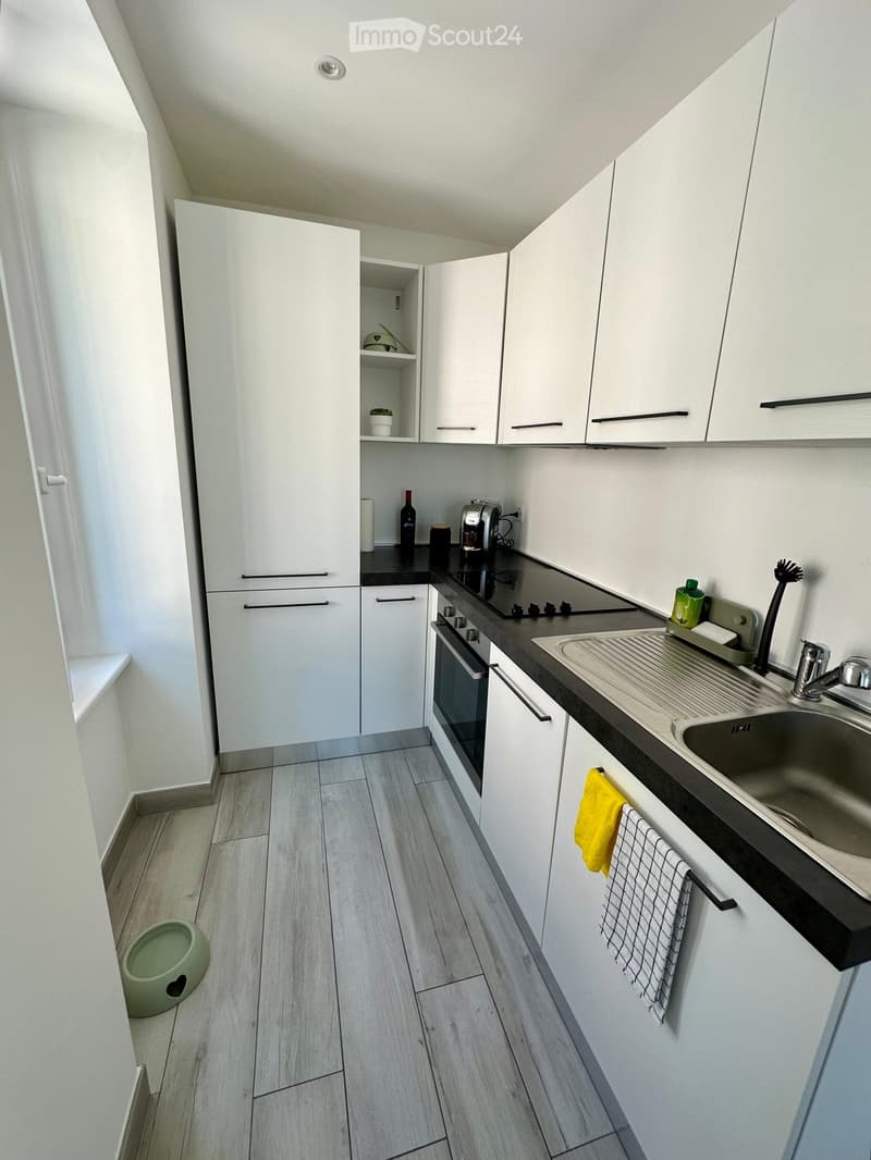 Modern kitchen with white cabinets, black countertops, stainless steel sink, and various appliances including a coffee maker and oven. Wooden flooring and a pet bowl visible.