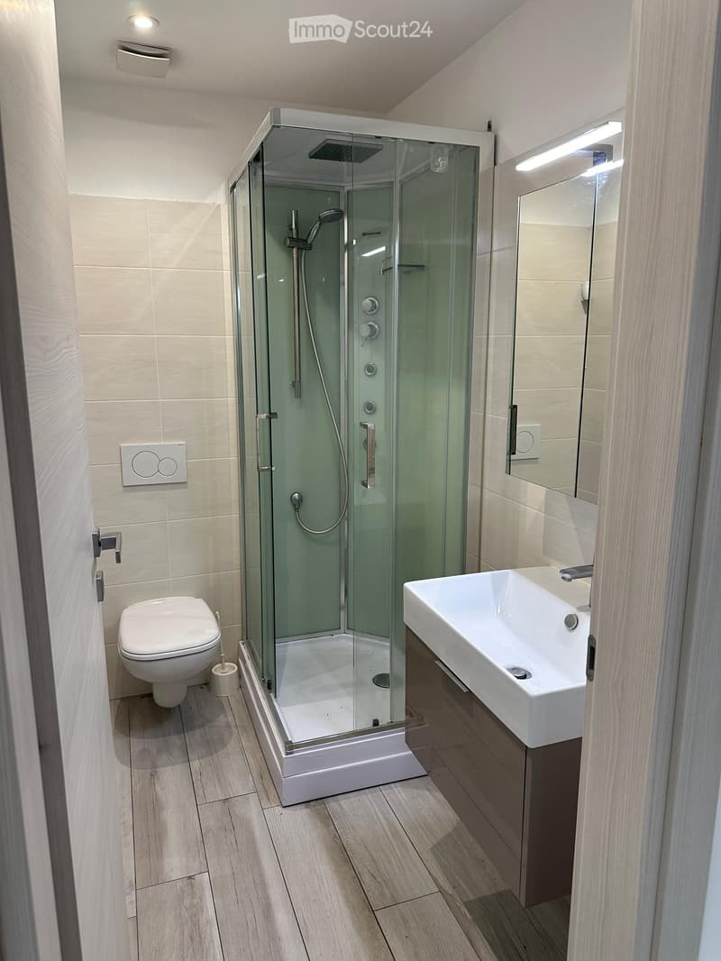 Modern bathroom with a glass-enclosed shower, toilet, sink, and mirror. Light-colored tiles and wooden flooring.