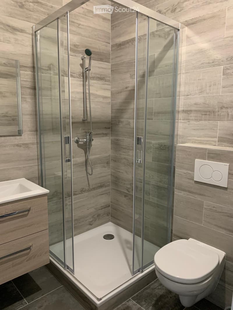 Modern bathroom with a glass-enclosed shower, a toilet, a sink with a wooden cabinet, and a mirror on the wall.
