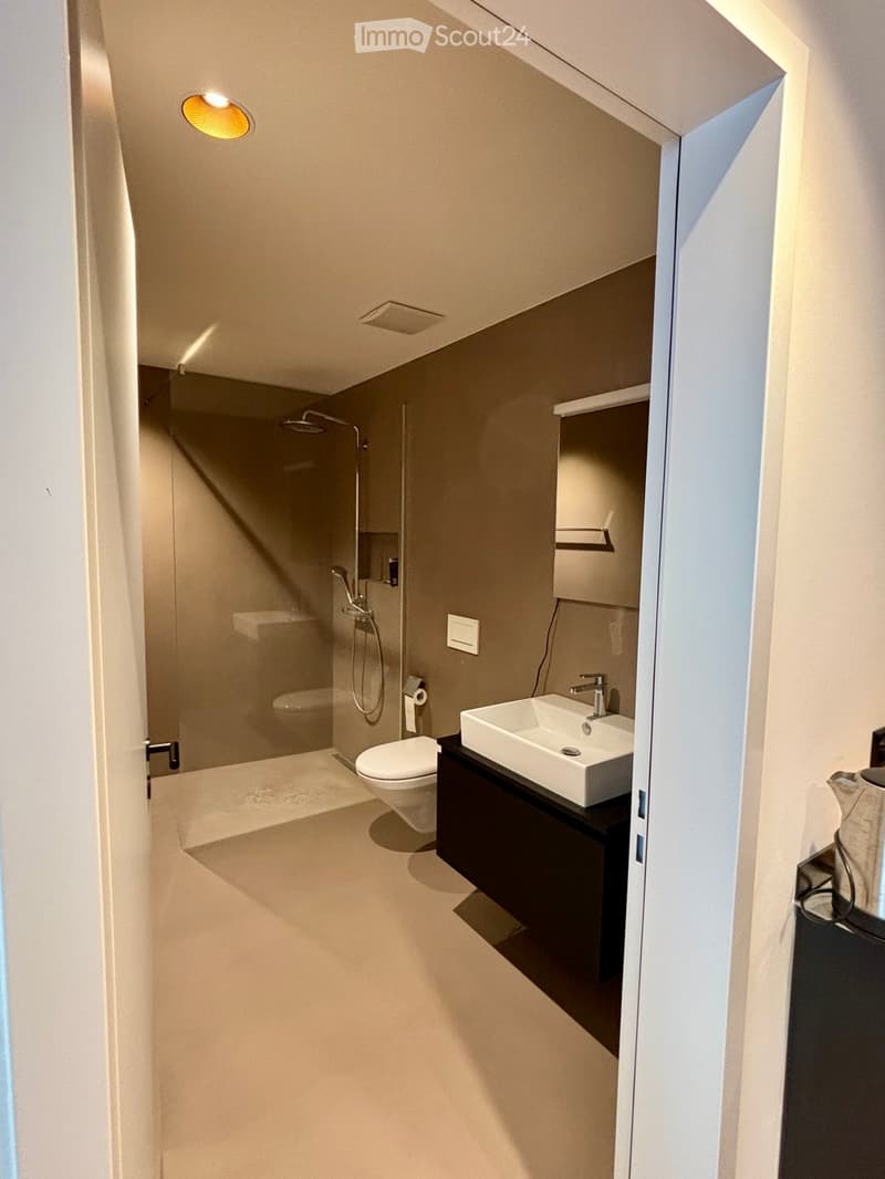Modern bathroom with a white sink, dark wooden cabinet, toilet, glass-enclosed shower, and built-in mirror.