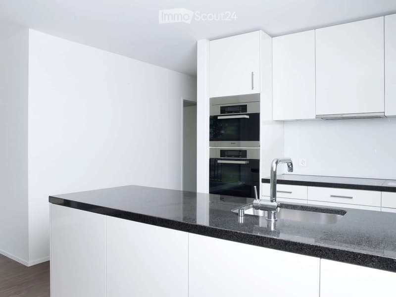 Modern kitchen with white cabinets, black granite countertop, stainless steel sink and faucet, and built-in ovens.