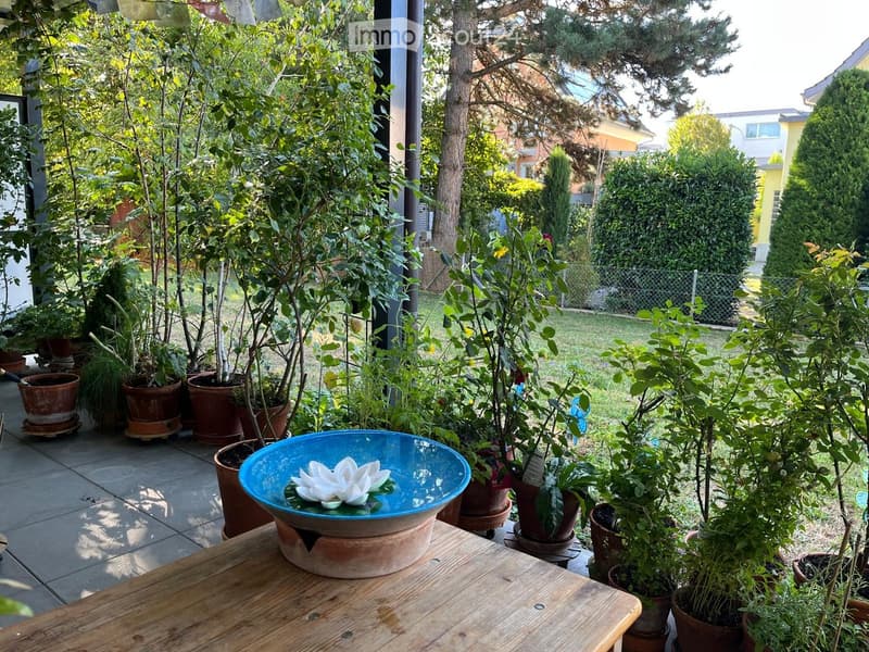 A lush garden area with potted plants, a wooden table, and a decorative bowl with a lotus flower on the table.