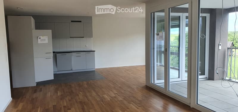 Modern kitchen with grey cabinets, a refrigerator, and a dishwasher, connected to a wooden-floored living area with large glass doors leading to a balcony.