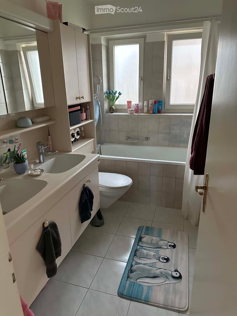 Bathroom with a double sink, toilet, bathtub, mirror, and various toiletries. Features a decorative bathmat with penguin designs and a small plant on the windowsill.