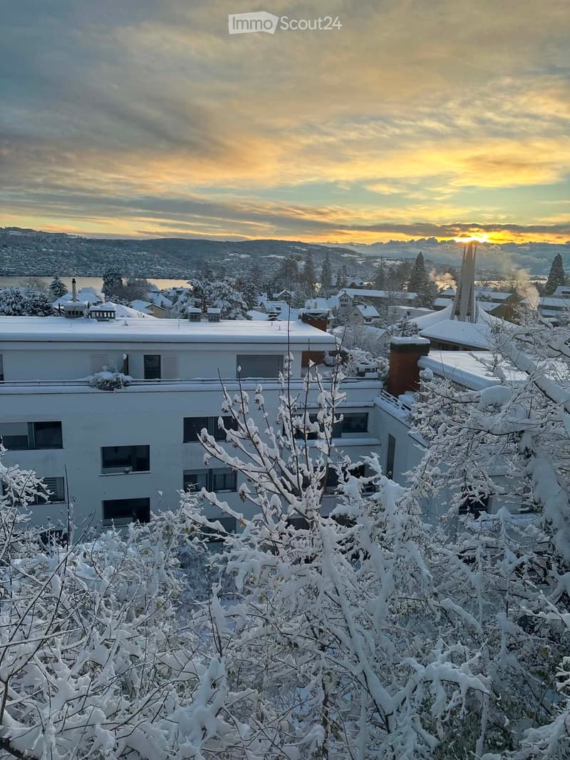 A modern house with snow-covered roof and windows, surrounded by snow-laden trees and a scenic view of a town and lake in the background.