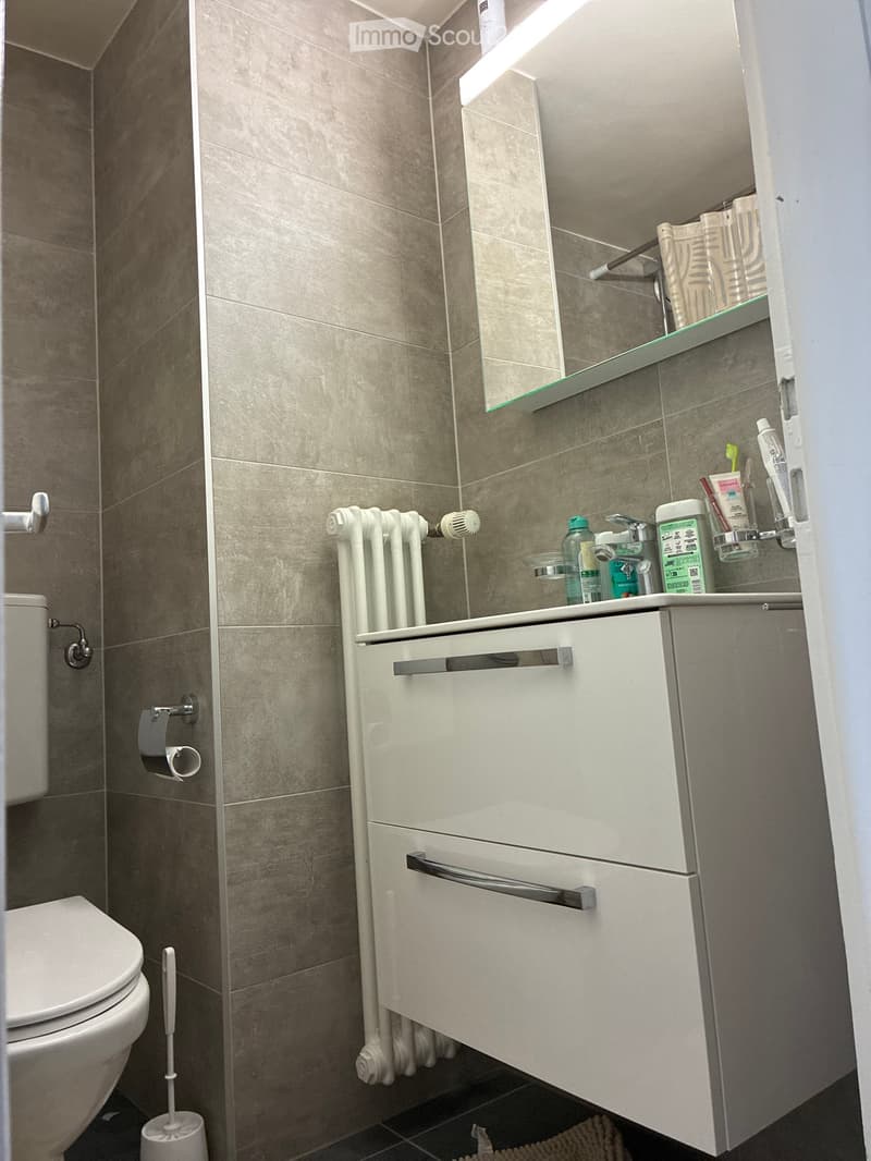 Modern bathroom with grey tiled walls, white sink cabinet, mirror, toilet, radiator, and personal care items on the sink counter.