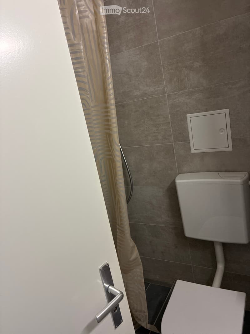 Modern bathroom with a toilet, shower curtain, and tiled walls and floor.