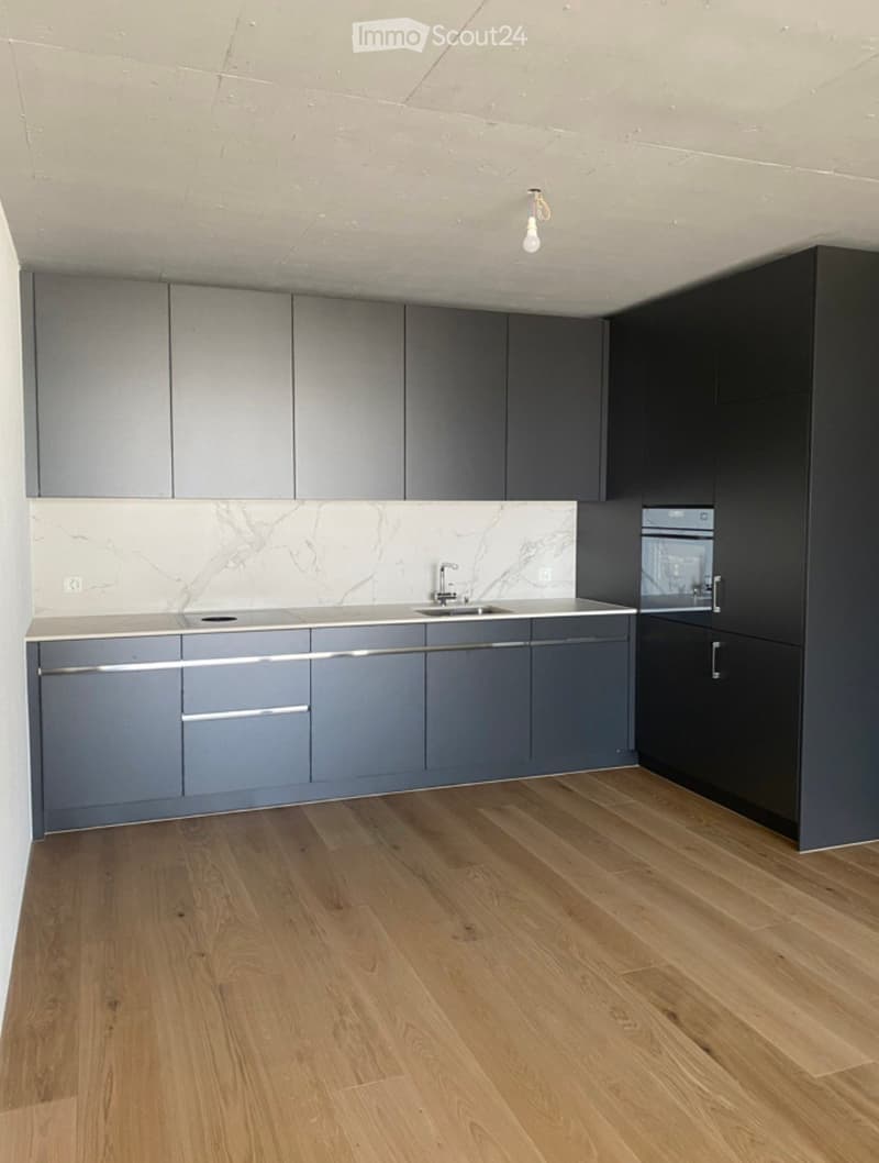 Modern kitchen with grey cabinets, marble backsplash, wooden flooring, and a stainless steel sink.