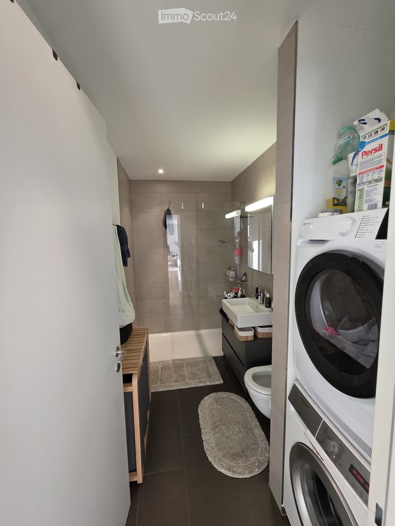 Modern bathroom with a shower, sink, toilet, washing machine, and a round rug on the floor.
