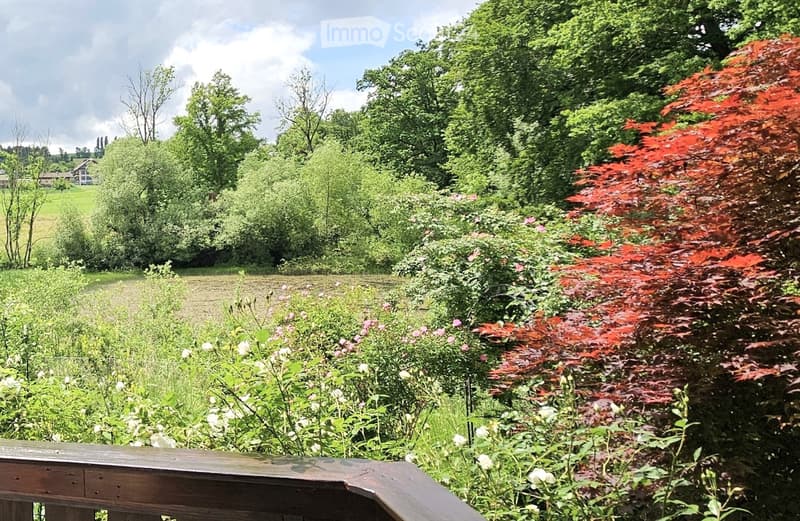 A lush garden with a variety of plants, flowers, and trees, including a prominent red maple tree, surrounded by greenery and a wooden railing in the foreground.