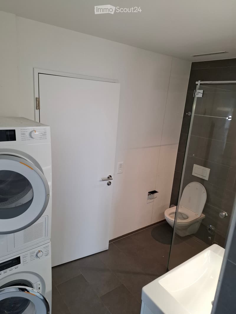 Modern bathroom with a washing machine, toilet, and sink, featuring a glass shower enclosure and tiled walls.