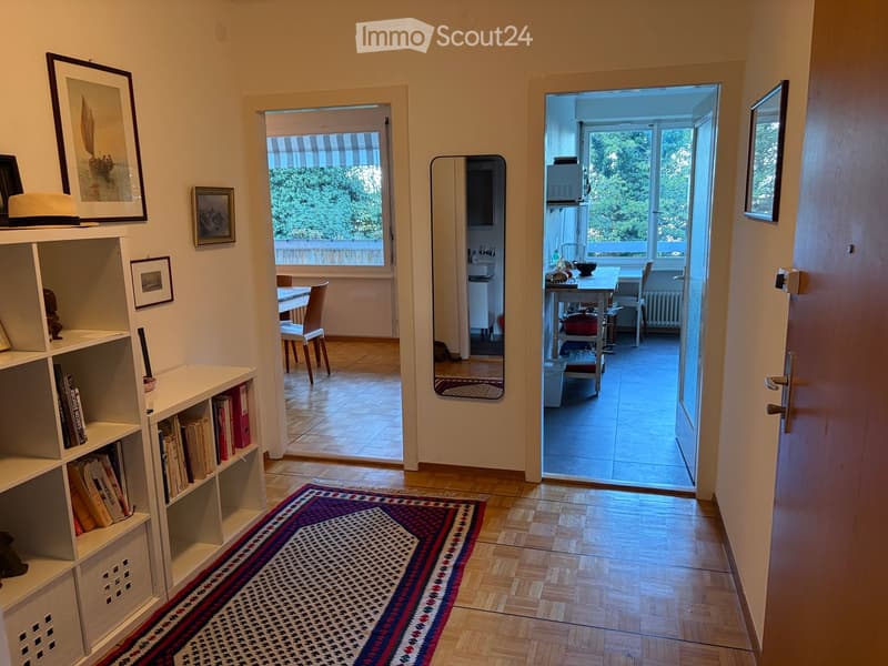 Bright hallway with wooden flooring, colorful runner rug, open doors leading to dining and kitchen areas, visible greenery outside, shelves with books and decorative items.