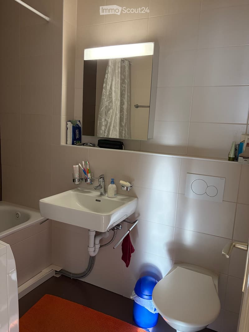 Modern bathroom with a white sink, mirror, toilet, and various toiletries. Features a blue trash bin, a red towel, and a small orange rug on the floor.