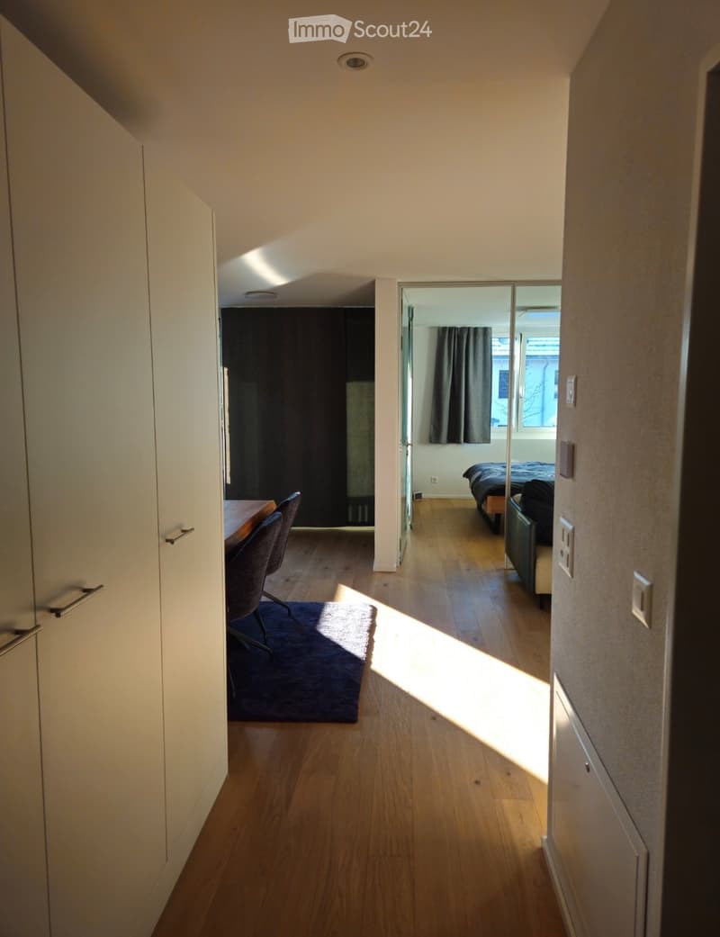 Bright, modern hallway leading to a furnished room with a bed, sofa, table, and chairs. The space features wooden flooring, large windows, and contemporary decor.