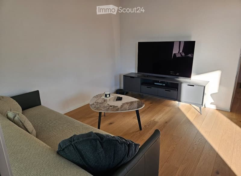Modern living room with a grey sofa, a round coffee table, a flat-screen TV on a sleek TV stand, and a small side table.
