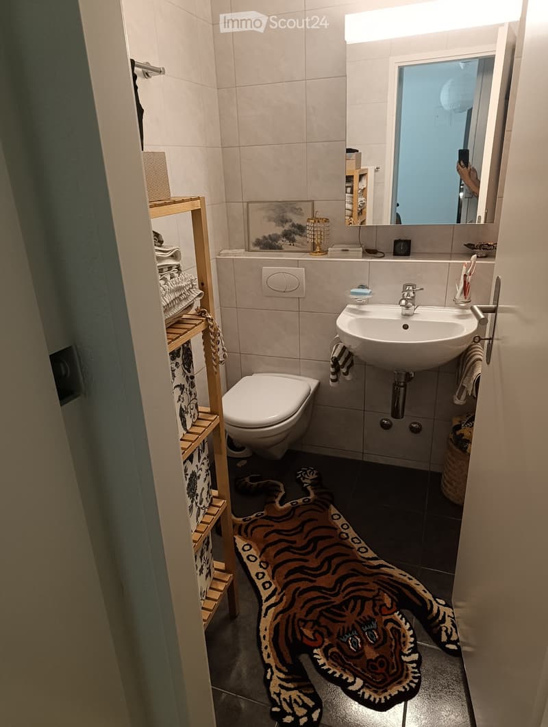 Modern bathroom with a toilet, sink, mirror, and a decorative tiger rug on the floor. A wooden shelf holds towels and other items.
