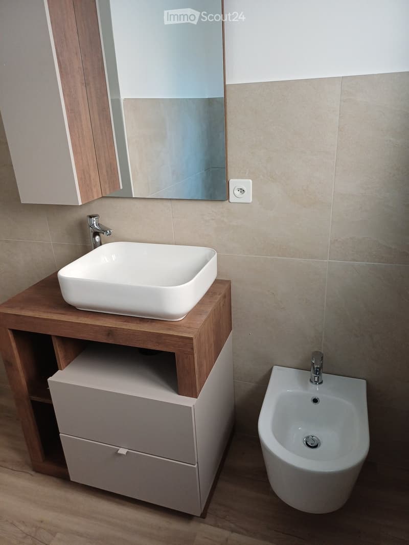 Modern bathroom with a white sink on a wooden vanity, a mirror cabinet, and a bidet with a chrome faucet.