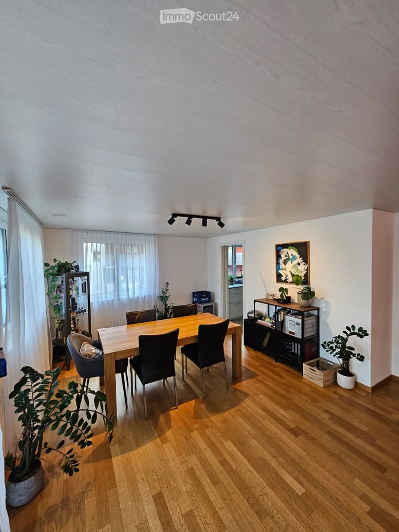 Dining room with wooden floor, large window with curtains, dining table with chairs, shelves with plants and items, and artwork on the wall.