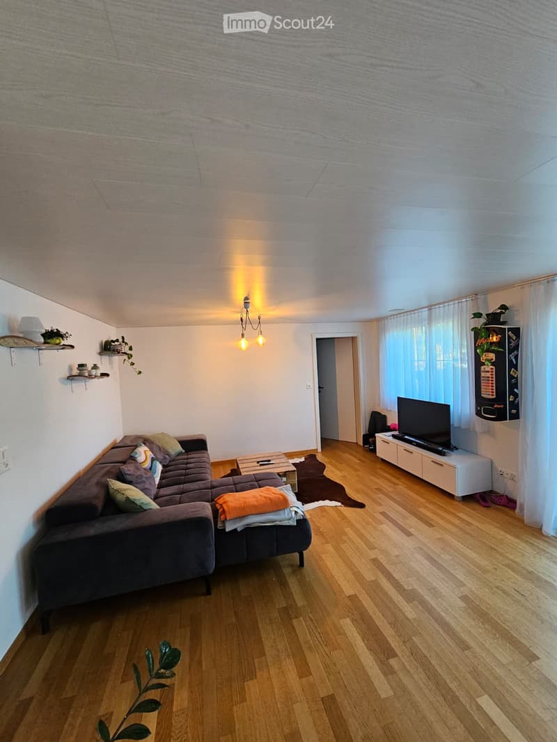 Modern living room with wooden flooring, a dark grey sectional sofa, a coffee table, a television on a white cabinet, and decorative shelves with plants.