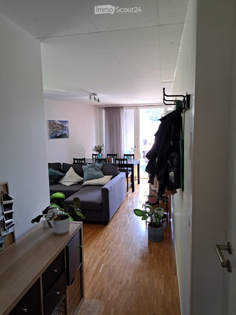 Living room with a grey sectional sofa, coffee table, dining table with chairs, potted plants, and a cabinet. The room has wooden flooring and large windows with curtains.