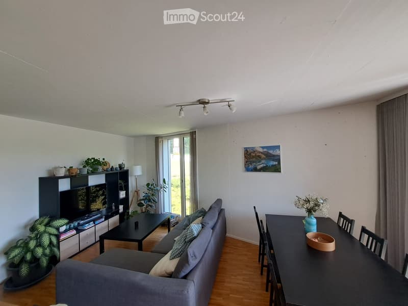 Modern living room with a grey sectional sofa, black coffee table, dining table with chairs, TV cabinet, and decorative plants.