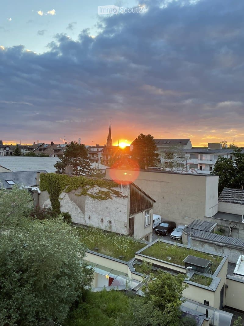 A rooftop garden with green grass, small trees, and a wooden shed. The sun is setting behind a church spire in the distance.