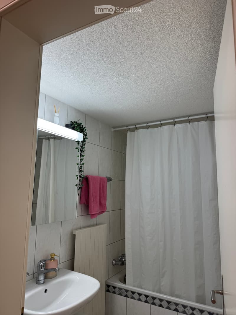 Modern bathroom with a white sink, chrome faucet, pink soap dispenser, white shower curtain, pink towel, and a small plant on the mirror shelf.