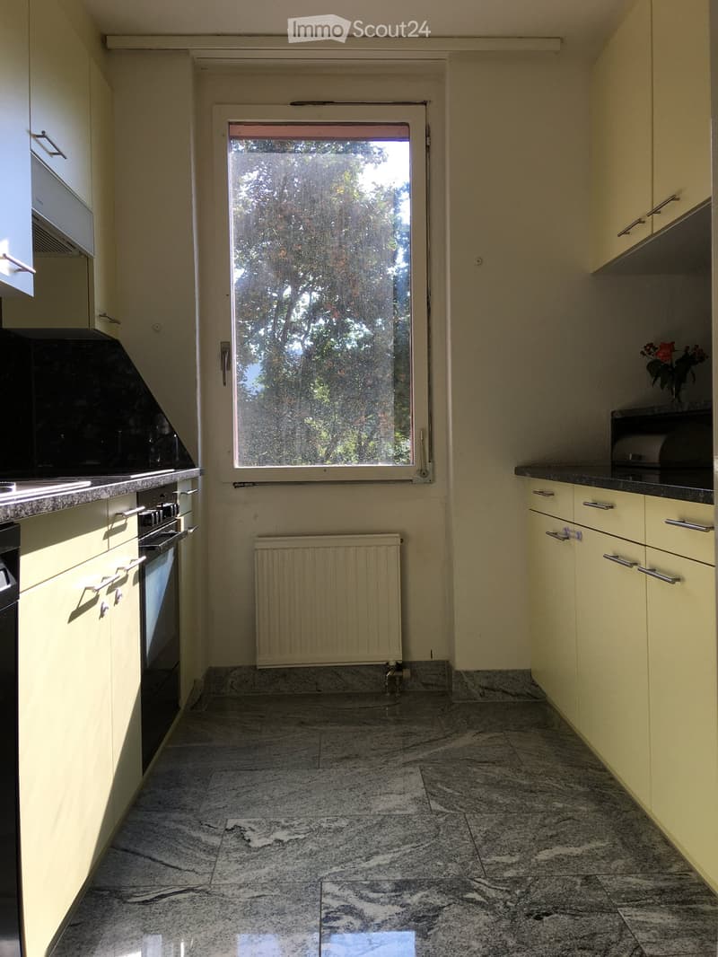 Bright kitchen with cream-colored cabinets, granite countertops, and a large window overlooking greenery. Features an oven, radiator, and a small flower vase on the counter.