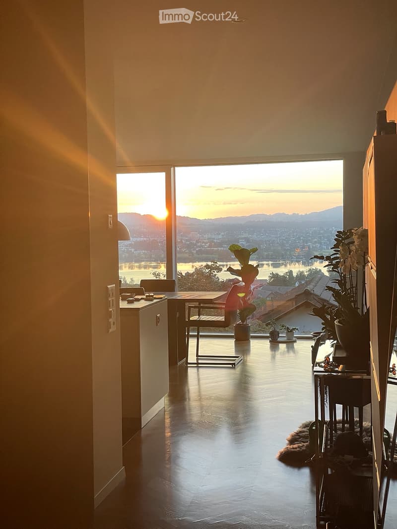 Bright, modern room with large windows offering a scenic view of a cityscape and lake at sunset. Features a sleek wooden floor, a minimalist chair, a small table, and several potted plants.