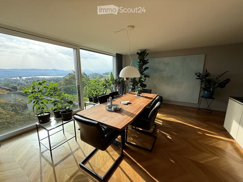 Modern dining area with a wooden table, black chairs, potted plants, and a large window offering a scenic view.