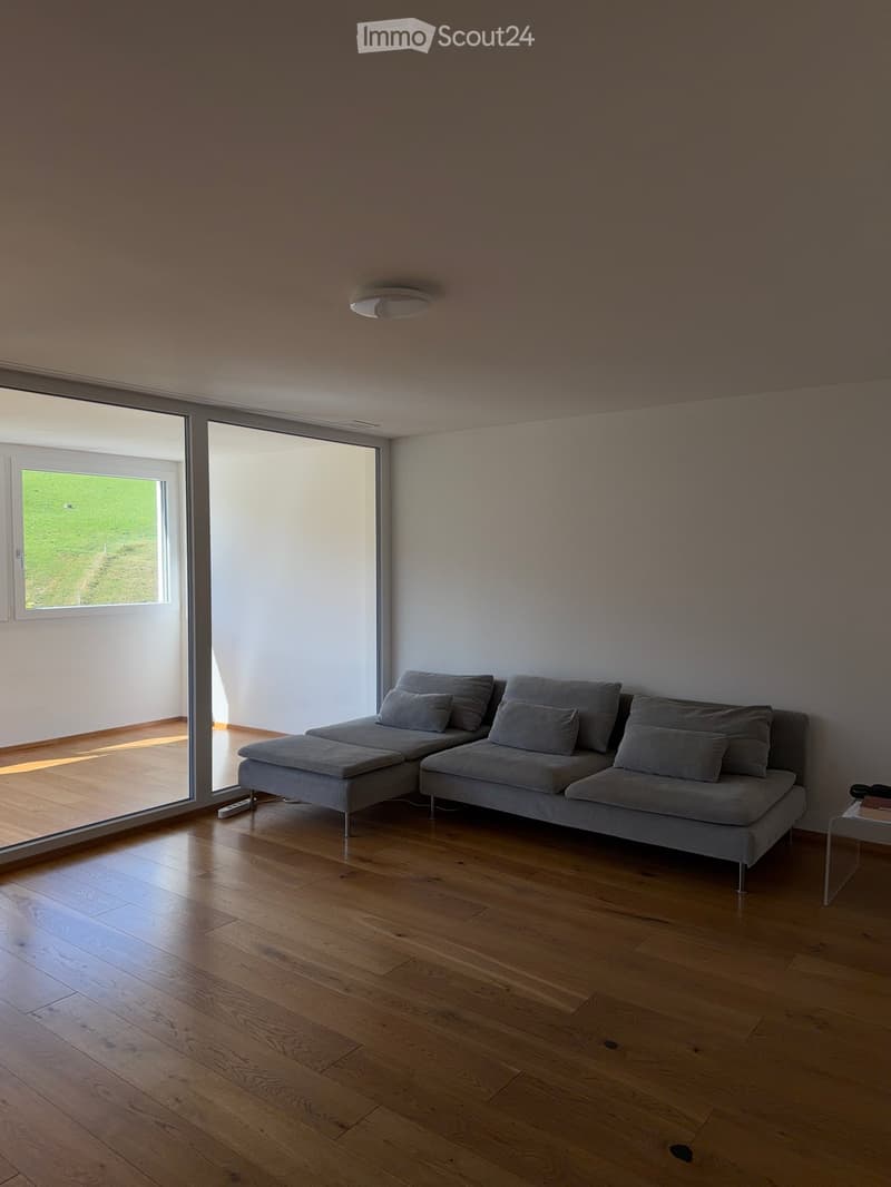 Modern living room with light wooden flooring, grey sectional sofa, and a small glass coffee table near the window.