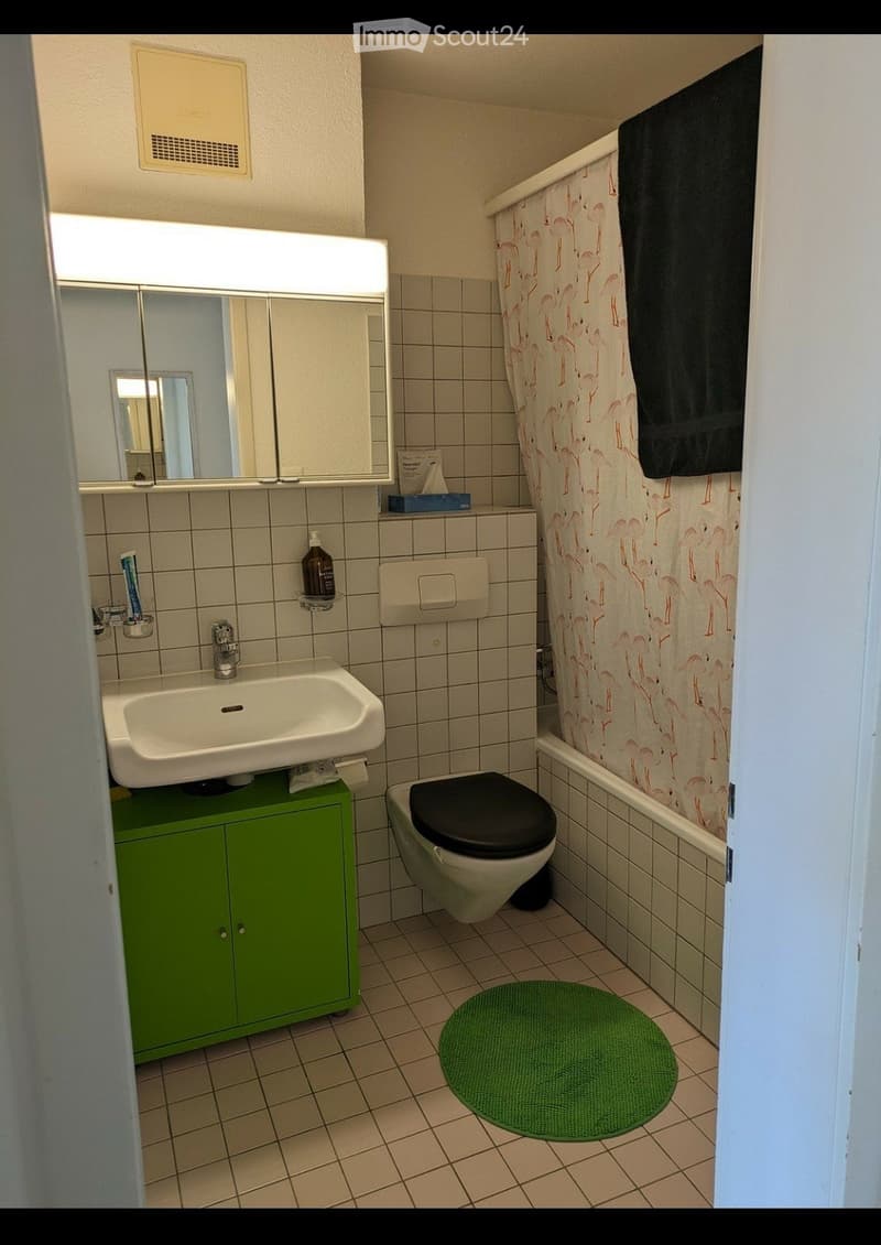 Bathroom with a white sink, mirror, toilet, bathtub with a flamingo-patterned shower curtain, green cabinet, and a round green bath mat.