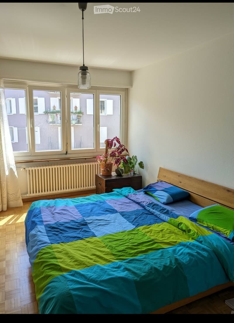 Cosy and spacious flat in Wiedikon (4)