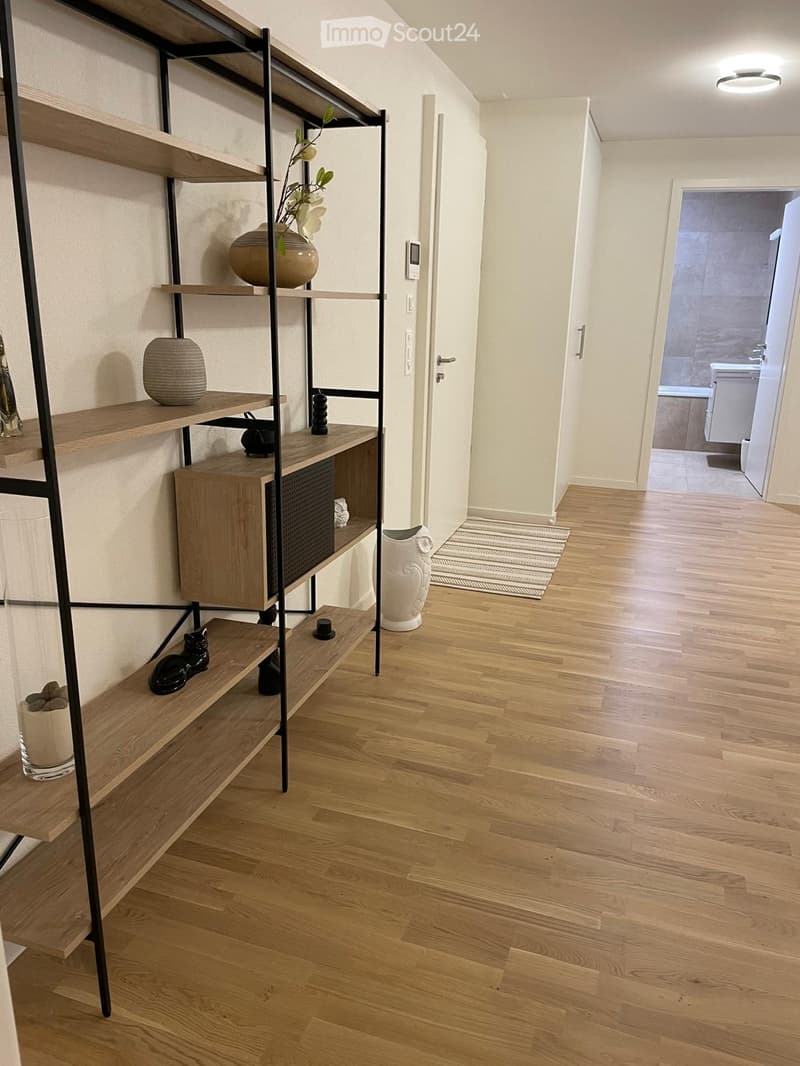 Modern hallway with wooden flooring, a tall shelving unit with decorative items, and a small rug near the entrance to a bathroom.