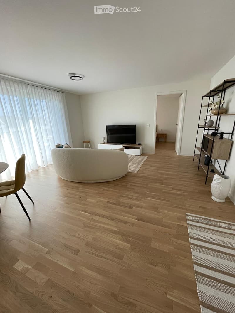 Modern living room with light wooden flooring, large windows with white curtains, a round sofa, a chair, a television on a stand, a shelf with decorative items, and a patterned rug.